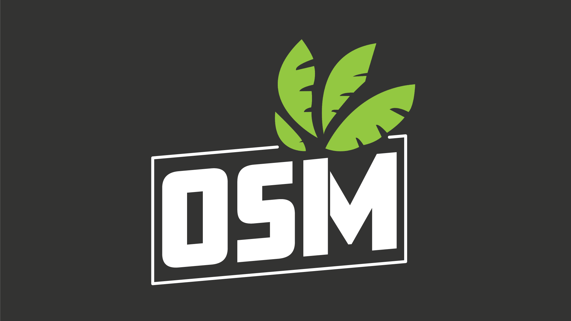 OSM small logo